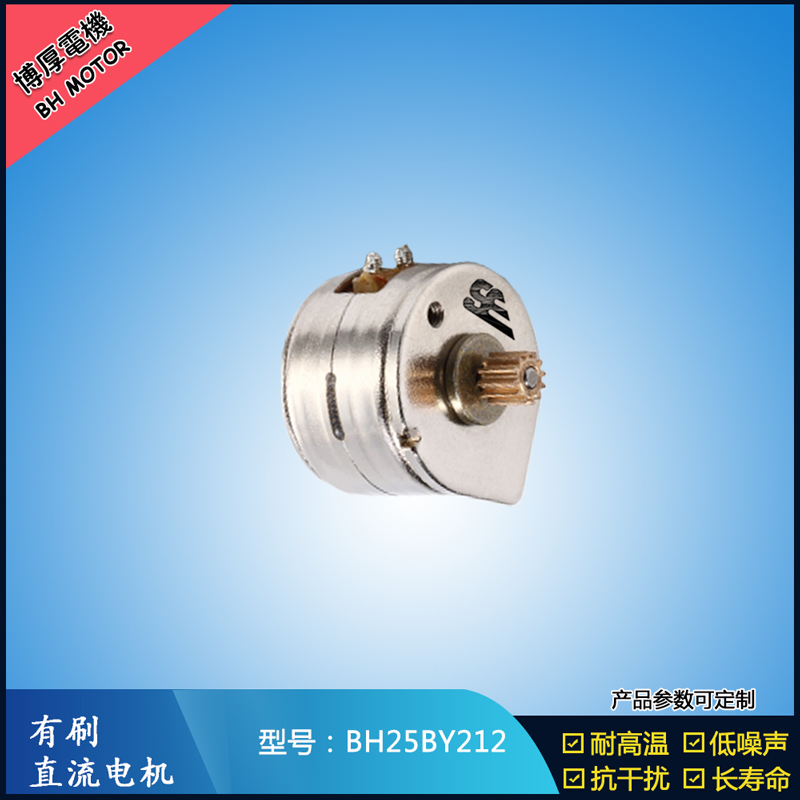 BH25BY212永磁步進(jìn)電機(jī) 12V直流微型馬達(dá) OA辦公馬達(dá)